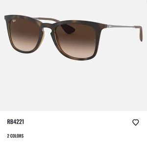 Ray Ban Tortoise: Gunmetal RB4221 Sunglasses